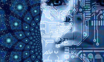 OmniaBuild sezione informatica
